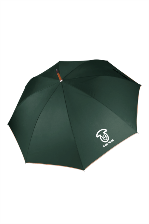 Parapluie Classique Automatique - Élégance et Protection en Toute Saison