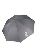Parapluie Classique Automatique - Élégance et Protection en Toute Saison