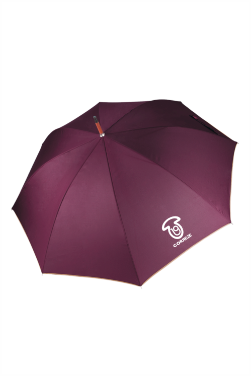 Parapluie Classique Automatique - Élégance et Protection en Toute Saison